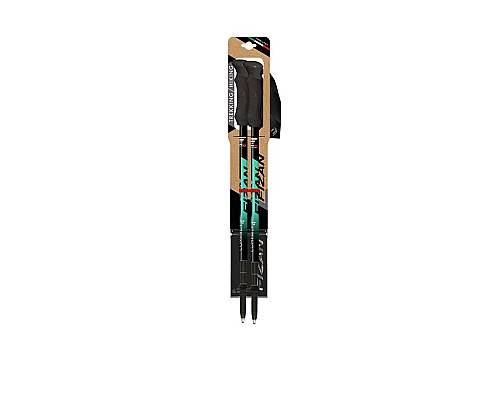 Trekové hole Fizan Compact 4 water green
